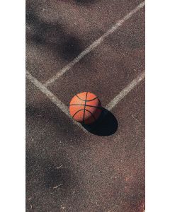  I/O Indoor-Outdoor Basketball